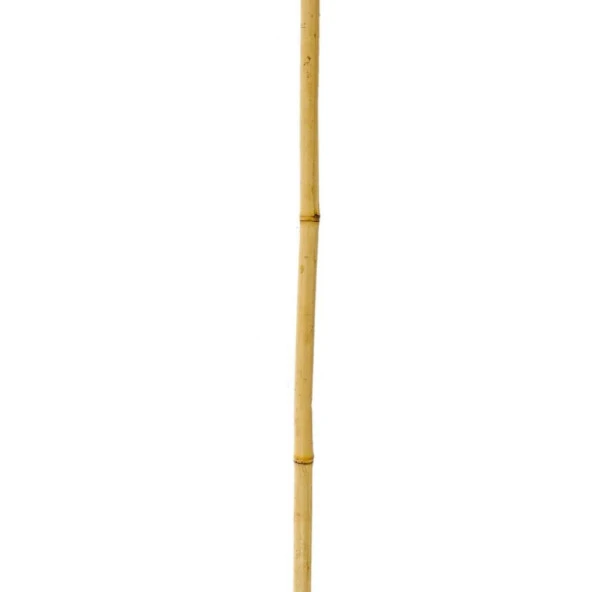 Nettenevime Bambu Sopası 240 cm 18-20mm Bambu Çubuğu 5 ADET - Resim 5