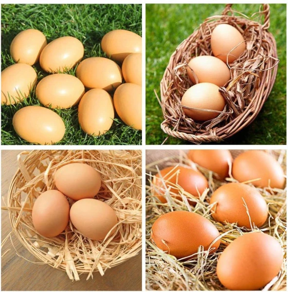 Yapay Yumurta Dekoratif Sahte Yumurta 12adet - 8
