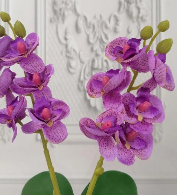 Nettenevime Beton Saksılı Yapay Orkide Pileli Etek Saksılı Lila Mini Yapay Orkide - 3