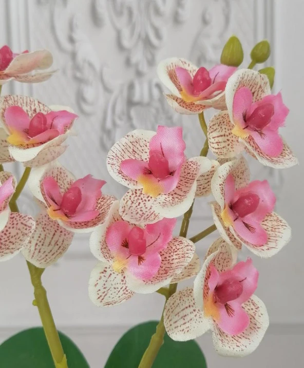 Nettenevime Beton Saksılı Yapay Orkide Pileli Etek Saksılı Pembe Açık Mini Yapay Orkide - 3