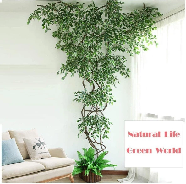 Nettenevime Yapay Çiçek 12 Adet Benjamin Yaprağı Yeşil Beyaz Ağaç Yaprağı - Resim 2