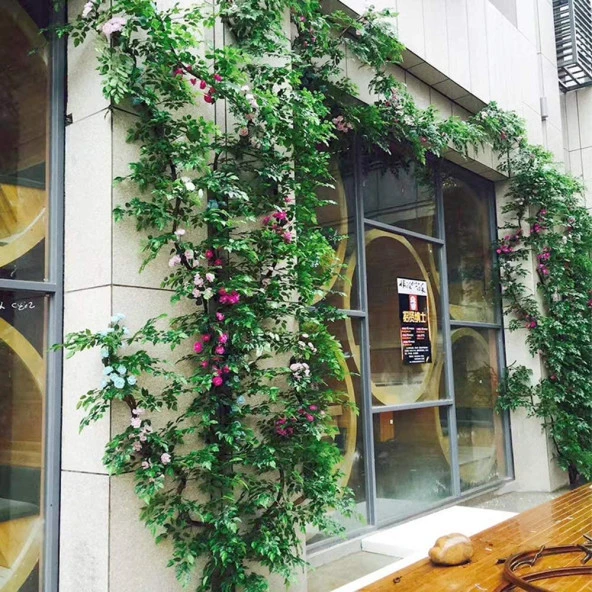 Nettenevime Yapay Çiçek 12 Adet Benjamin Yaprağı Yeşil Ağaç Yaprağı - 4