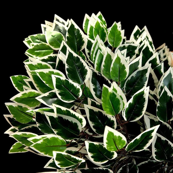 Nettenevime Yapay Çiçek 12 Adet Benjamin Yaprağı Yeşil Beyaz Ağaç Yaprağı - Resim 6