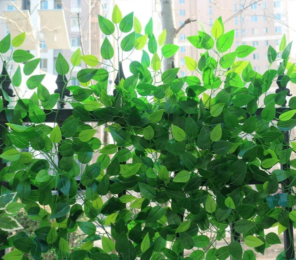 Nettenevime Yapay Çiçek 12 Adet Benjamin Yaprağı Yeşil Ağaç Yaprağı - 6