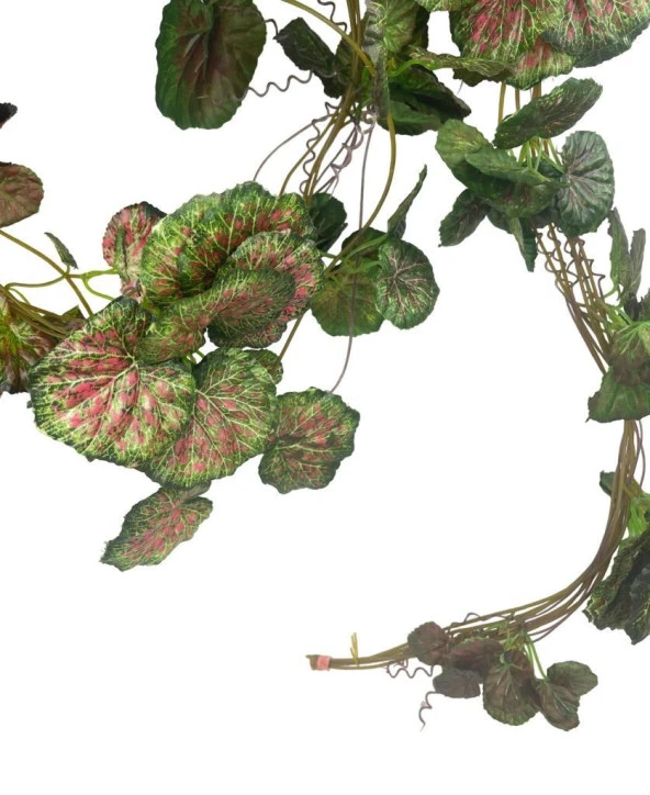 Nettenevime Yapay Sarmaşık Kırmızı Yeşil Sardunya 5Dallı 230cm Doğalgaz Borusu Kapatıcı Dekoratif Yapay Çiçek - Resim 5