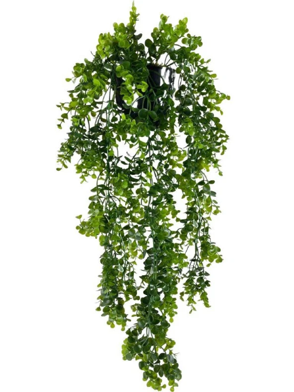 Nettenevime Yapay Çiçek Saksıda Sarkan Şimşir Okaliptus Yapay Sarmaşık 60cm ürün görseli
