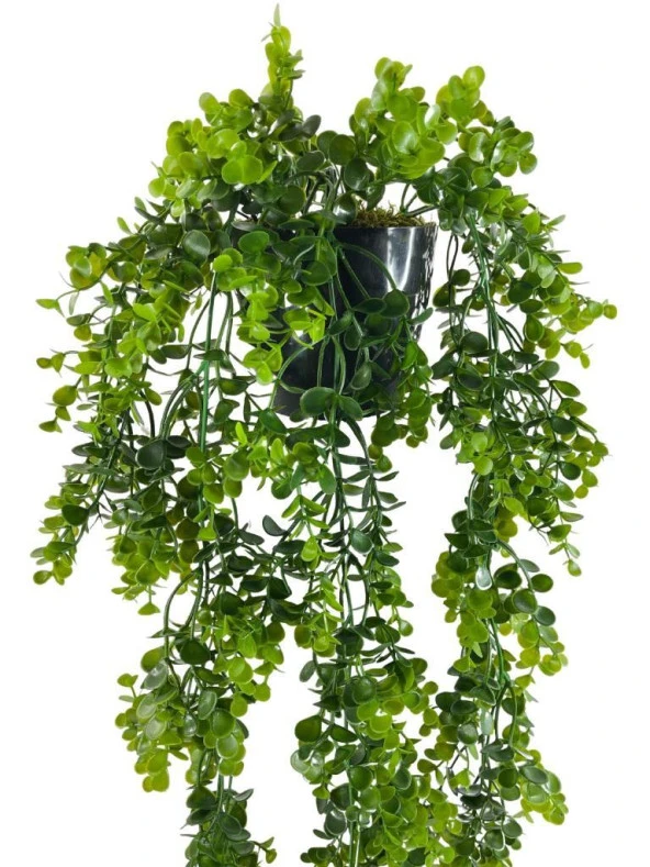 Nettenevime Yapay Çiçek Saksıda Sarkan Şimşir Okaliptus Yapay Sarmaşık 60cm - Resim 2
