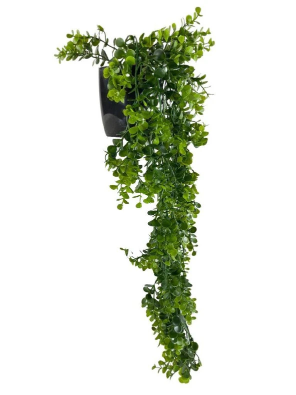Nettenevime Yapay Çiçek Saksıda Sarkan Şimşir Okaliptus Yapay Sarmaşık 60cm - Resim 4
