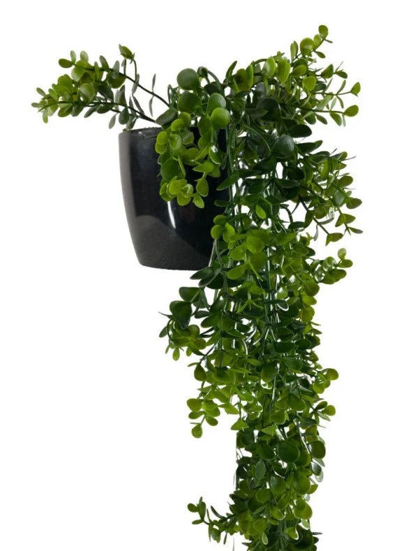 Nettenevime Yapay Çiçek Saksıda Sarkan Şimşir Okaliptus Yapay Sarmaşık 60cm - Resim 5