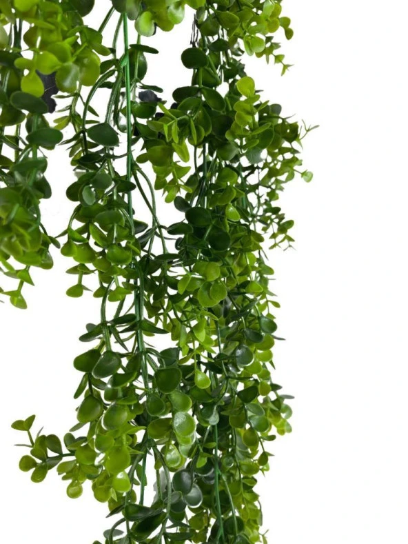 Nettenevime Yapay Çiçek Saksıda Sarkan Şimşir Okaliptus Yapay Sarmaşık 60cm - Resim 6