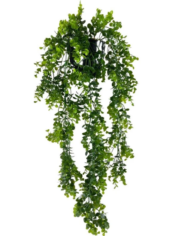 Nettenevime Yapay Çiçek Saksıda Sarkan Şimşir Okaliptus Yapay Sarmaşık 60cm - Resim 7