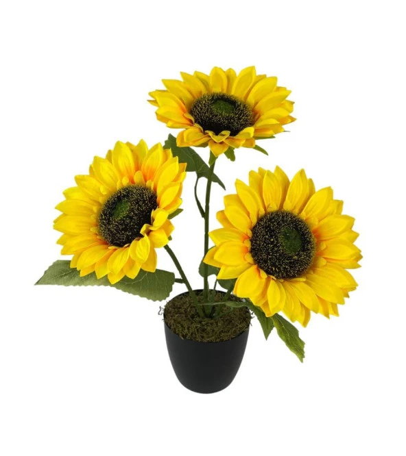 Nettenevime Yapay Çiçek Siyah Saksıda Ay Çiçeği 3Kafa 38cm