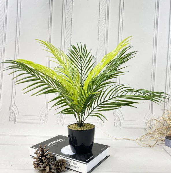 Nettenevime Yapay Çiçek Palmiye Siyah Plastik Saksılı Areka Yapay Bitki Salon Çiçeği 9 Yaprak 50cm ürün görseli 1