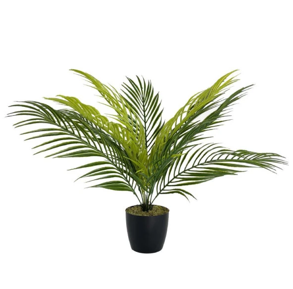 Nettenevime Yapay Çiçek Palmiye Siyah Plastik Saksılı Areka Yapay Bitki Salon Çiçeği 9 Yaprak 50cm - Resim 2