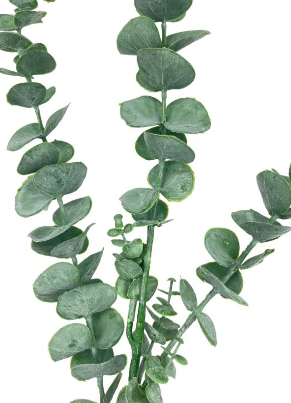 Yapay Çiçek Yeşil Okaliptus 3Dallı Uzun Dal 76cm Eucalyptus - 4