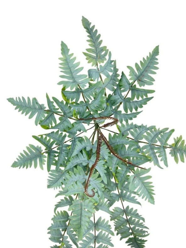 Nettenevime Yapay Çiçek Pastel Cycas Aşk Merdiveni 80cm Eğrelti Otu Sıkas Bitkisi 12 Yaprak 40*80cm Yapay Bitki - Resim 7