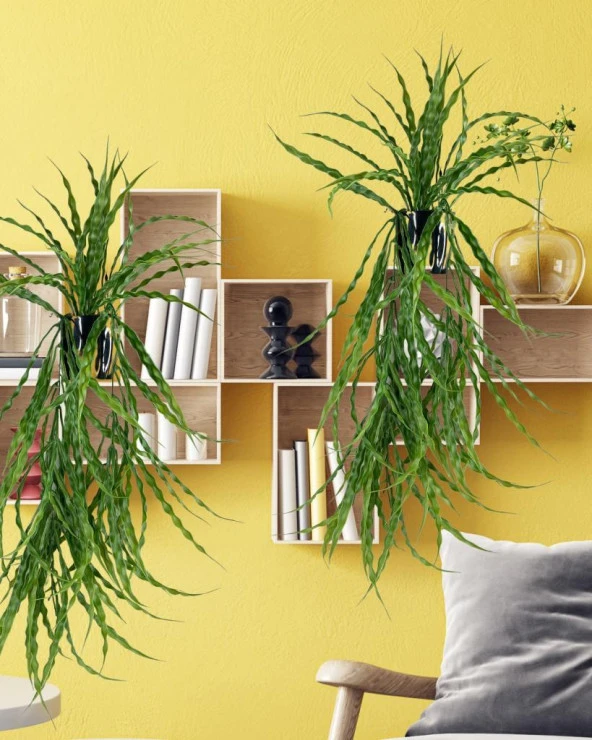 Nettenevime Yapay Çiçek Saksıda Sarkan Yeşil Kıvrımlı Saz 90cm - 5