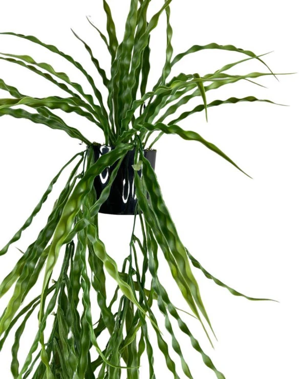 Nettenevime Yapay Çiçek Saksıda Sarkan Yeşil Kıvrımlı Saz 90cm - 7