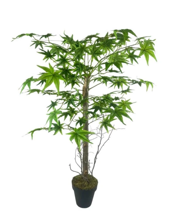Nettenevime Yapay Ağaç Yeşil Japon Akçaağacı 100x70cm Siyah Plastik Saksılı - 2