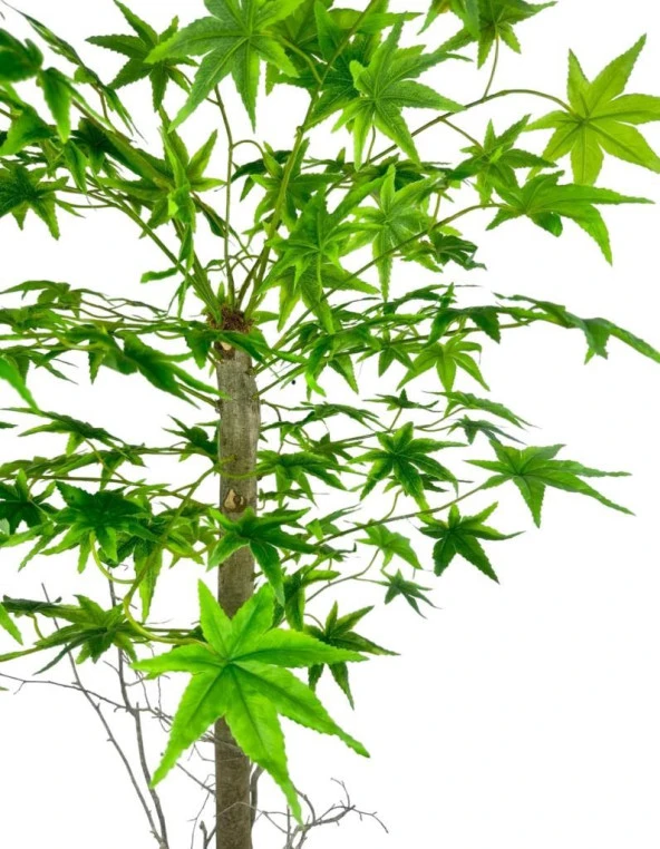 Nettenevime Yapay Ağaç Yeşil Japon Akçaağacı 100x70cm Siyah Plastik Saksılı - 6