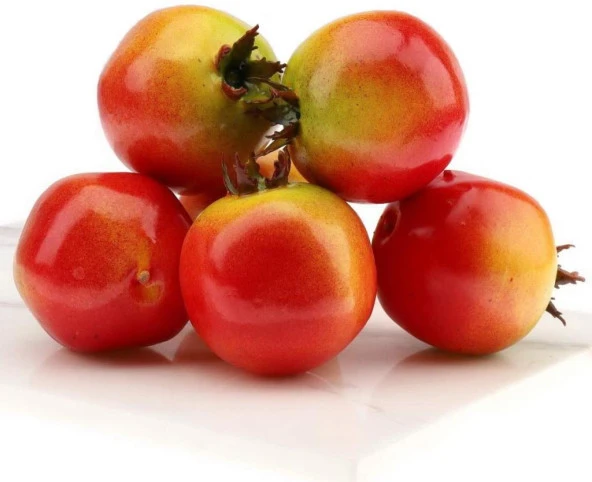 Yapay NAR 6 lı Paket  Yapay Meyve - 2