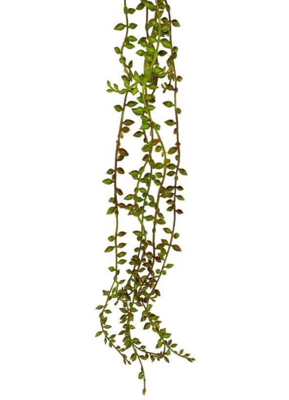 Nettenevime Yapay Çiçek Sarkan Kahverengi Detaylı String Okaliptus Skulent 70cm 5Dal - Resim 2