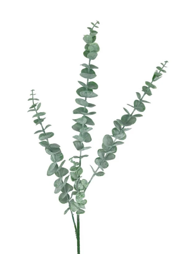 Nettenevime Yapay Çiçek Pastel Yeşil Okaliptus 3Dallı Uzun Dal 76cm Eucalyptus ürün görseli 1