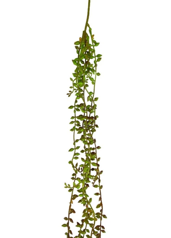 Nettenevime Yapay Çiçek Sarkan Kahverengi Detaylı String Okaliptus Skulent 70cm 5Dal - Resim 3