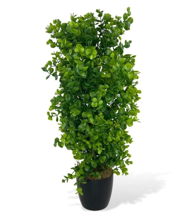 Nettenevime Yapay Çiçek Siyah Saksıda Yeşil Şimşir Ağacı 50cm ürün görseli 1