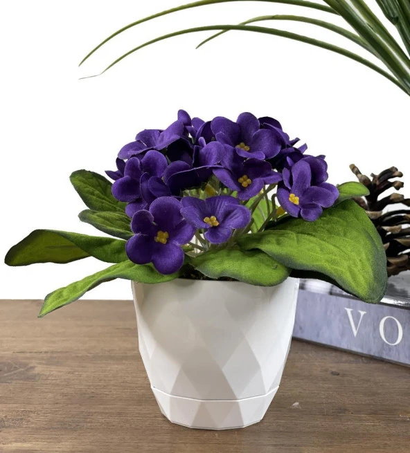 Nettenevime Yapay Çiçek Beyaz Saksıda Kadife Menekşe Gerçekçi Doku MOR ürün görseli