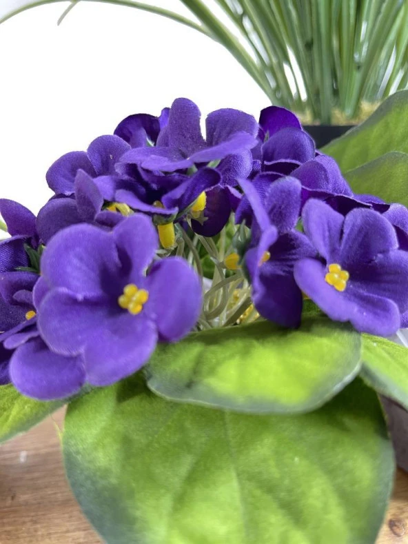 Nettenevime Yapay Çiçek Beyaz Saksıda Kadife Menekşe Gerçekçi Doku MOR - Resim 2