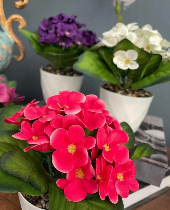 Nettenevime 4lü Set Yapay Çiçek Kadife Menekşe Beyaz Saksıda Gerçekçi Doku  Karışık Renkli - Resim 8