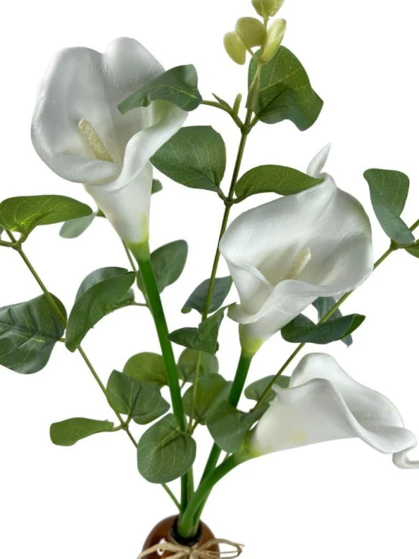 Nettenevime Nettenevime Okaliptuslu Gala Çiçeği Dalı 3lü Yapay Çiçek - Resim 2