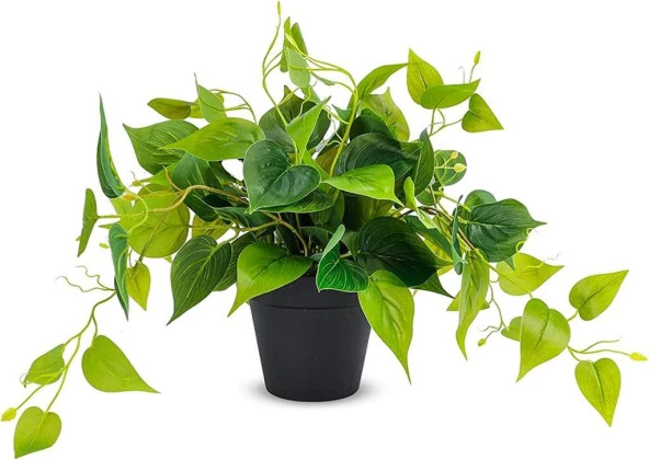 Nettenevime Saksıda Sarmaşık Sarı Yeşil Oval Yapraklı Sarmaşık Yapay Çiçek Siyah Saksıda ürün görseli 1