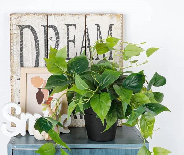 Nettenevime Saksıda Sarmaşık Sarı Yeşil Oval Yapraklı Sarmaşık Yapay Çiçek Siyah Saksıda - Resim 2