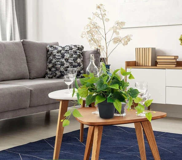 Nettenevime Saksıda Sarmaşık Sarı Yeşil Oval Yapraklı Sarmaşık Yapay Çiçek Siyah Saksıda - Resim 4