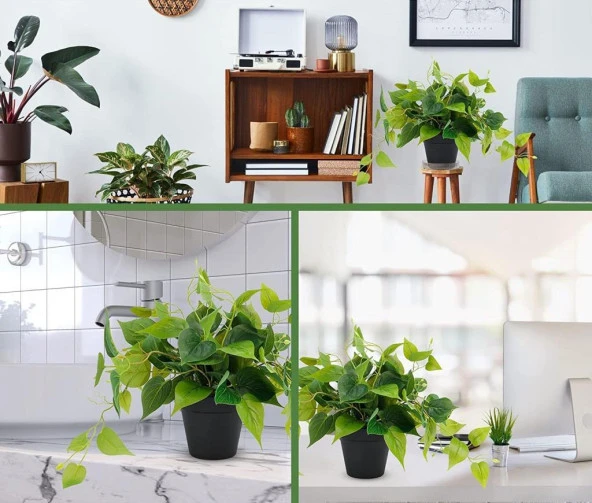 Nettenevime Saksıda Sarmaşık Sarı Yeşil Oval Yapraklı Sarmaşık Yapay Çiçek Siyah Saksıda - Resim 5
