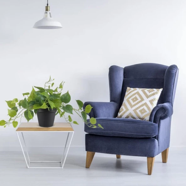 Nettenevime Saksıda Sarmaşık Sarı Yeşil Oval Yapraklı Sarmaşık Yapay Çiçek Siyah Saksıda - Resim 7