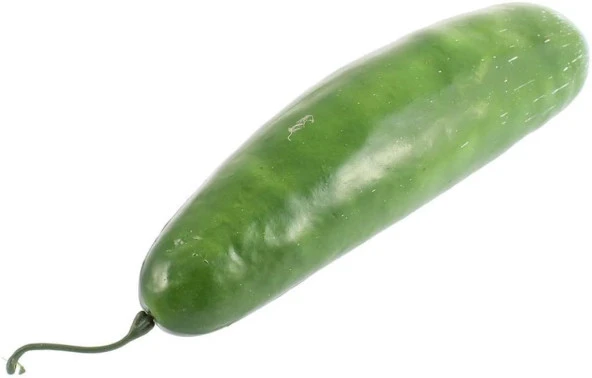 Nettenevime Yapay Sebze Salatalık Cucumber 1adet 17*5cm Gerçek Boyut - Resim 2