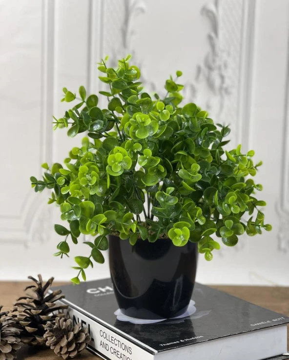 Yapay Çiçek Şimşir Eucalyptus Yapay Bitki Siyah Plastik Saksılı Dekoratif Süs Çiçeği - 3