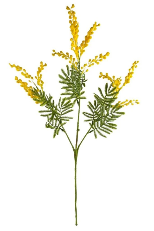 Nettenevime Yapay Çiçek Sarı Mimoza Uzun Dal 75cm 3Dallı Minosa Yapay Bitki