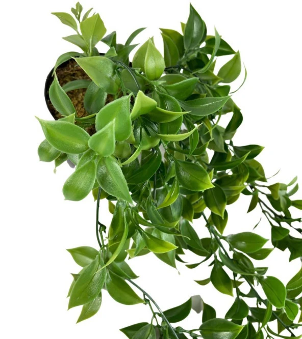 Nettenevime Yapay Çiçek Saksıda Sarkan Fejka Yeşil Limon Yaprağı Yapay Sarmaşık 60cm - Resim 6