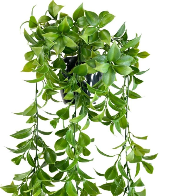 Nettenevime Yapay Çiçek Saksıda Sarkan Fejka Yeşil Limon Yaprağı Yapay Sarmaşık 60cm - Resim 9