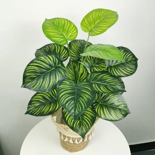 Nettenevime Yapay Çiçek Demet Difenbahya Sarı Çizgili 12Dal 55cm Salon Çiçeği Yapay Bitki - Resim 4