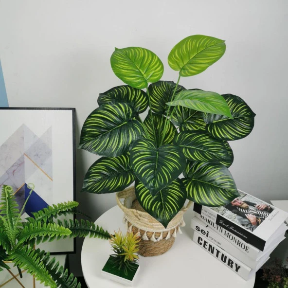 Nettenevime Yapay Çiçek Demet Difenbahya Sarı Çizgili 12Dal 55cm Salon Çiçeği Yapay Bitki - Resim 5