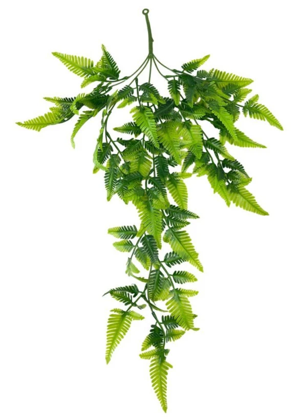 Nettenevime Yapay Çiçek Sarkan Boston Fern 60cm 5Dallı ty124 Yapay Sarmaşık Yeşil ürün görseli 1
