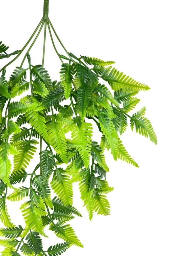 Nettenevime Yapay Çiçek Sarkan Boston Fern 60cm 5Dallı ty124 Yapay Sarmaşık Yeşil - Resim 3