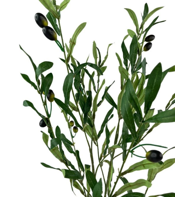 Nettenevime Yapay Çiçek Siyah Saksıda Zeytin Dalı 60cm - Resim 3