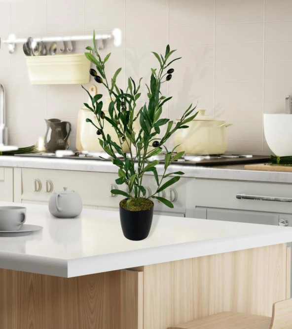 Nettenevime Yapay Çiçek Siyah Saksıda Zeytin Dalı 60cm - Resim 5