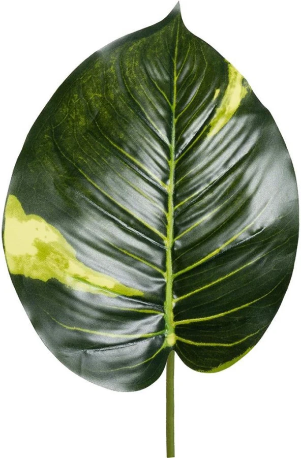 Nettenevime Yapay Çiçek Demet Tropik Diffenbahya 18 Dal 70 cm Salon Çiçeği Yapay Bitki - Resim 4